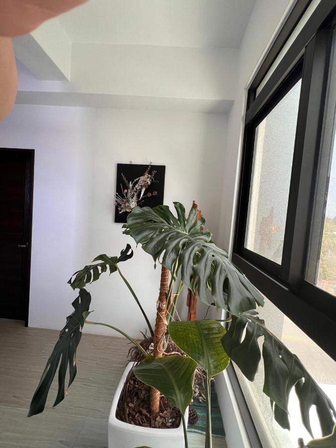 מאקונג The Bird'S Nest B&B מראה חיצוני תמונה